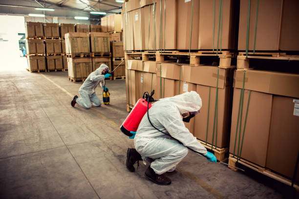 Best Cockroach Control Services  in Warrenvle, IL