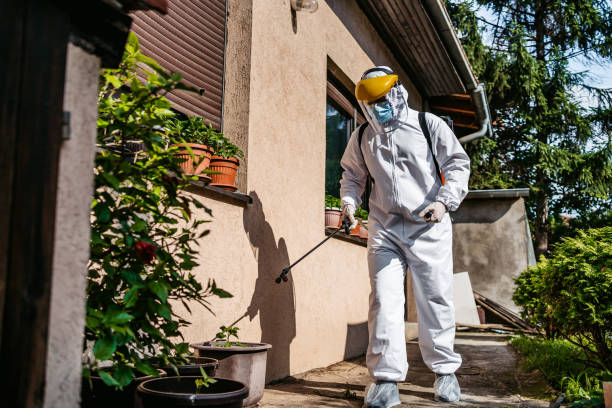 Best Local Pest Control Services  in Warrenvle, IL