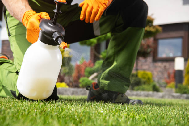Best Best Pest Control Companies  in Warrenvle, IL