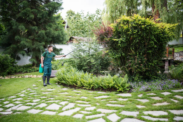 Best Exterminator Services  in Warrenvle, IL