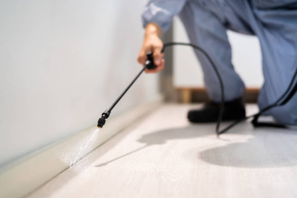 Best Residential Pest Control  in Warrenvle, IL