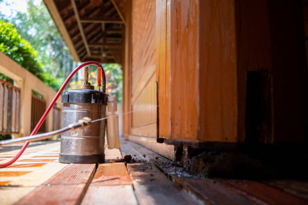 Best Cockroach Control Services  in Warrenvle, IL