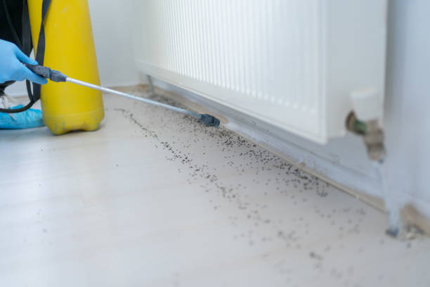 Best Residential Pest Control  in Warrenvle, IL